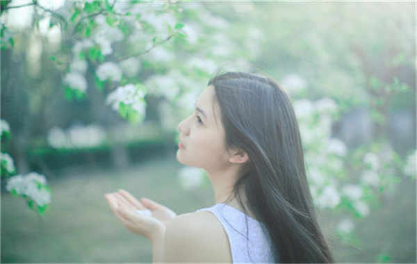 瀍河回族验血查男女几周可以验(验血查男女结果图)